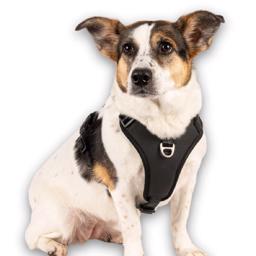 Max & Molly Hundsele Matrix 2.0 Sport sele Svart